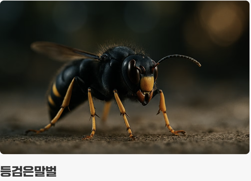 3. 두 번째 단서, '검은 양복에 노란 구두'를 신었다면?