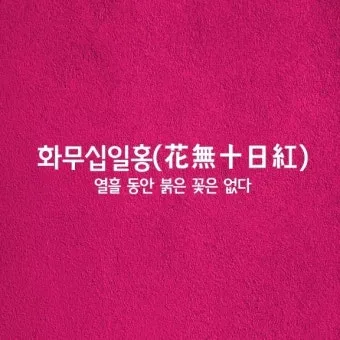 화무십일홍 뜻과 화무십일홍 권불십년 花無十日紅 자료집_16
