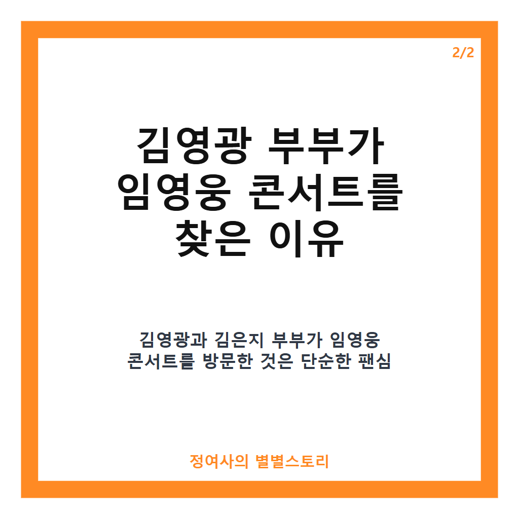 임영웅 콘서트 찾은 김영광 추천 진심 담긴 응원과 특별한 만남 후기 카드뉴스 3