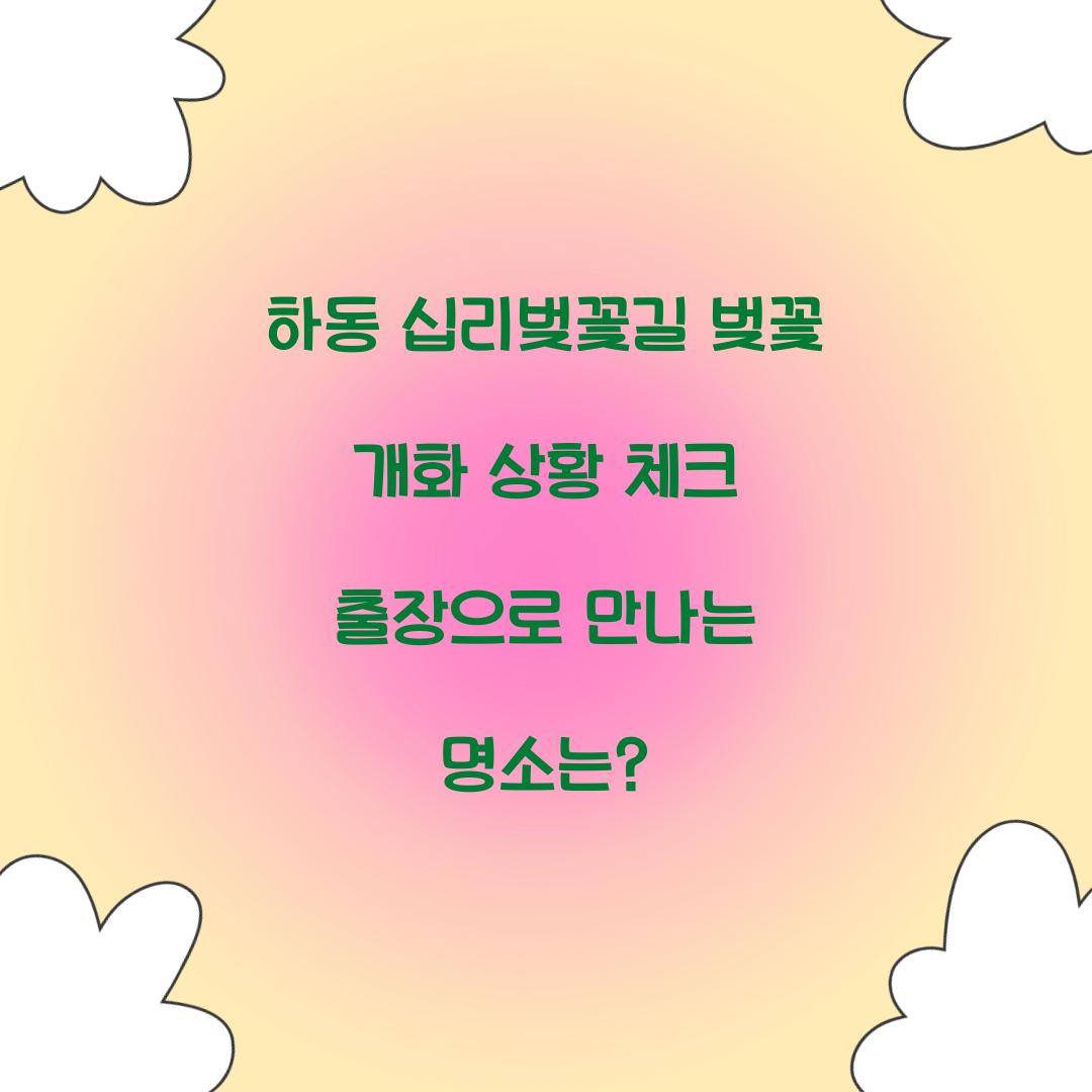 하동 십리벚꽃길 벚꽃 개화 상황