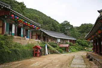 봄꽃 여행 성지 충남 서산 명소 BEST5_19