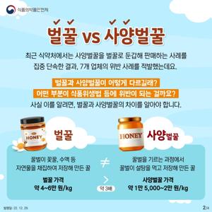 천연 벌꿀
