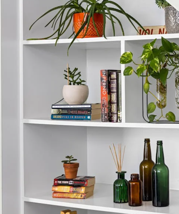 식물과 책을 조화롭게 배치한 감성 원룸 인테리어