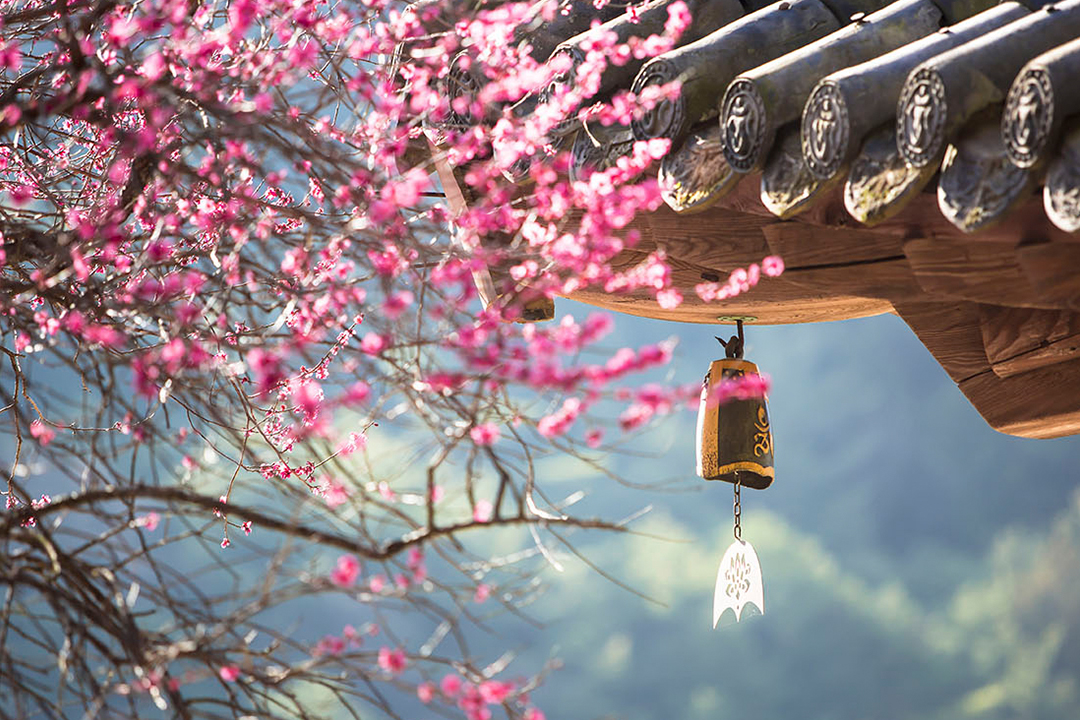 #템플스테이 #석가탄신일 #부처님오신날