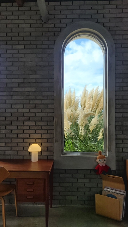 제주동쪽여행-감성카페-카페치즈태비