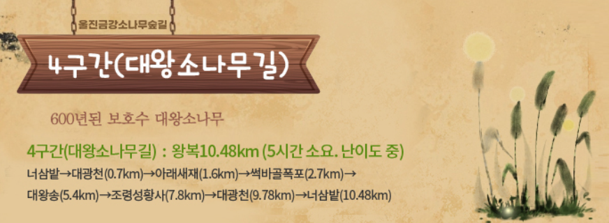 울진 금강소나무숲길