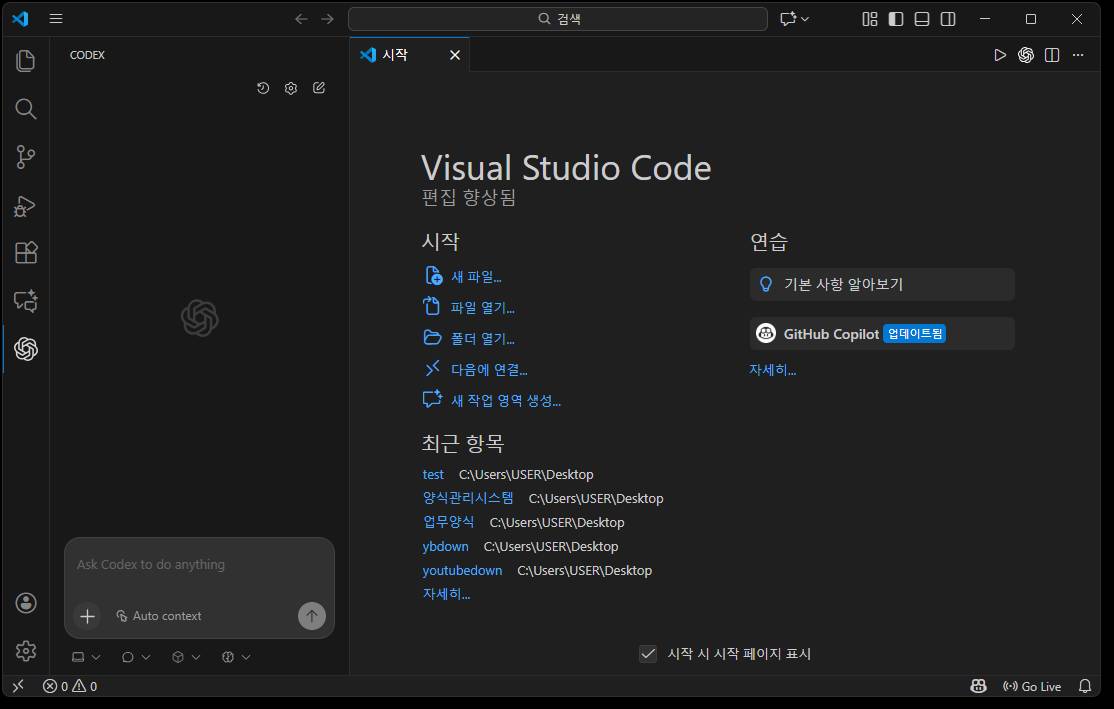 Codex 로그인 완료 화면