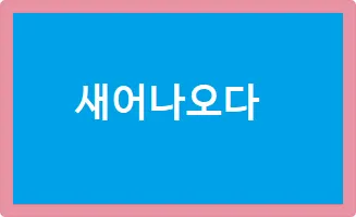 새어나오다 세어나오다 맞춤법 뜻 유래_9