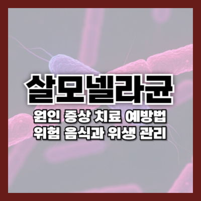 살모넬라균
살모넬라 식중독
살모넬라 증상
살모넬라균 치료
살모넬라 예방법
여름철 식중독
살모넬라 위험 음식
살모넬라 예방 수칙
음식 위생 관리
살모넬라 감염 원인