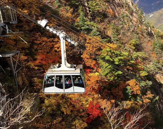 설악산 단풍 절정 시기 시즌 2024, 단풍빵도 꼭 먹고 오세요! (+ 명소 코스 추천)