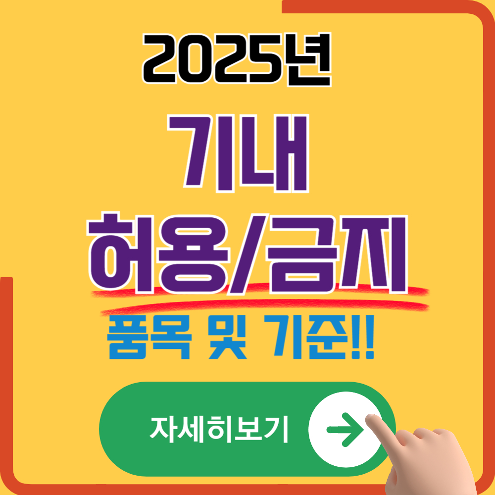 비행기 탈 때 이것만은 주의! 기내 반입 허용&middot;불가 물품 및 기준
