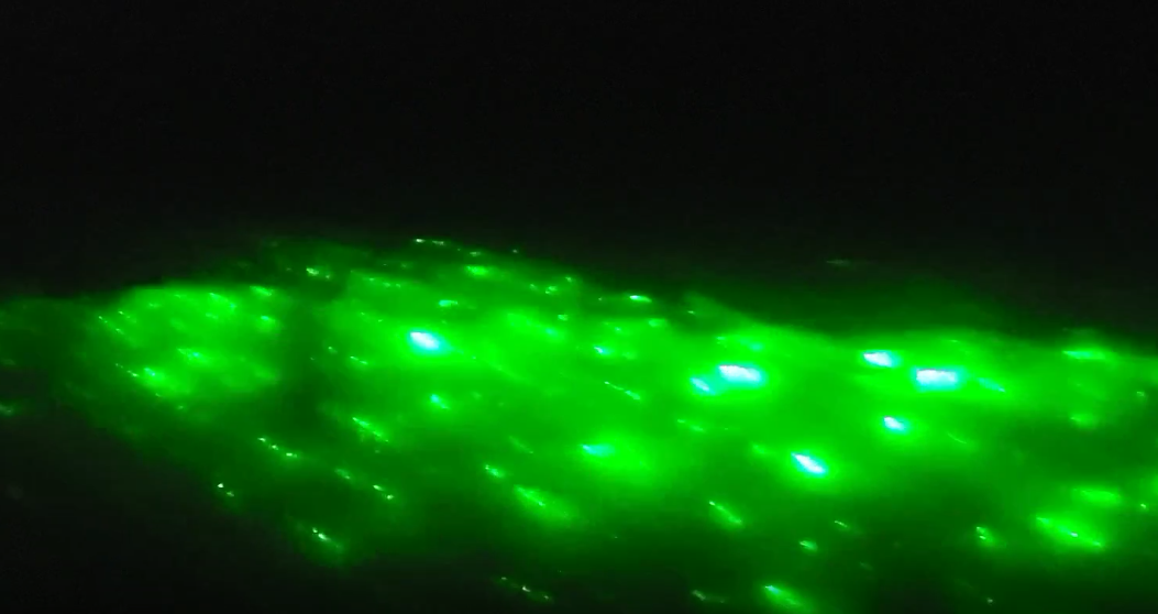 코타키나발루반딧불투어 위치 섬투어 자유여행