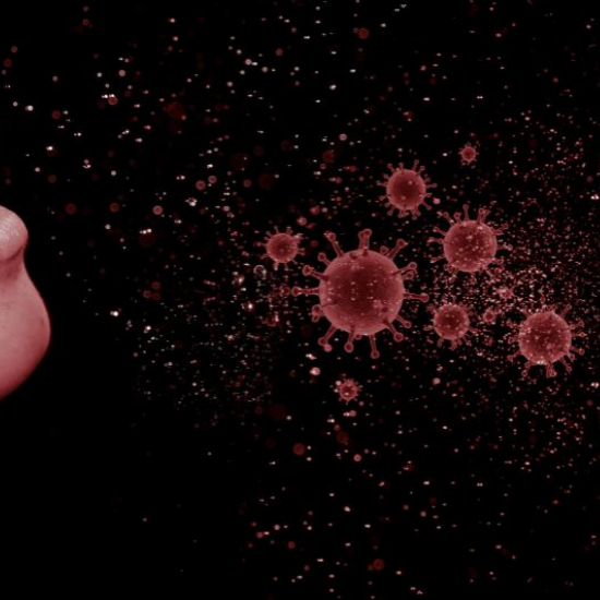 백일해 원인과 전파 경로3