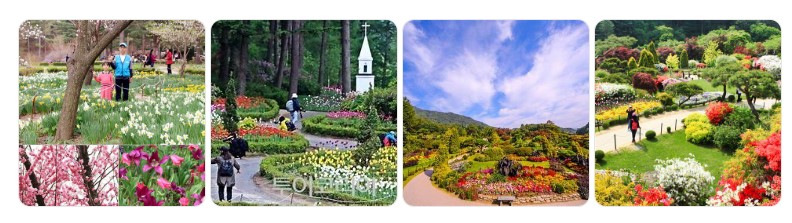 경기도 가평 아침고요수목원의 사계절 꽃 정원과 풍경, 감성적인 자연 여행지