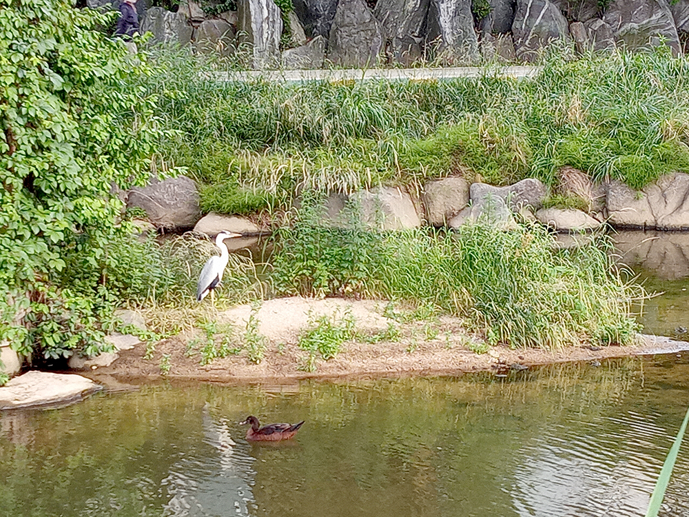 1004 프로젝트 여수봉산초등학교