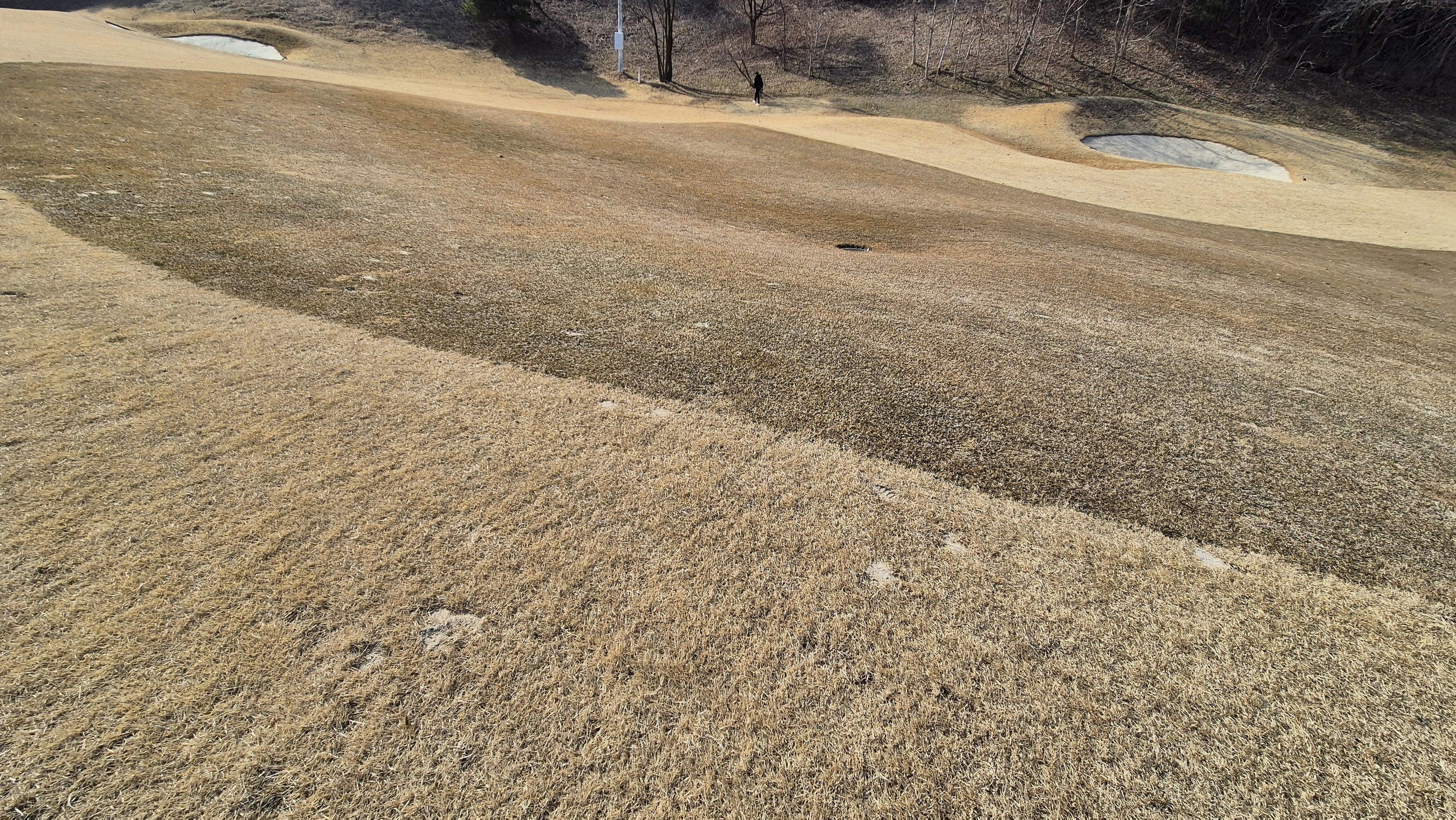 아난티코드gc 잣나무-느티나무 코스 관리상태