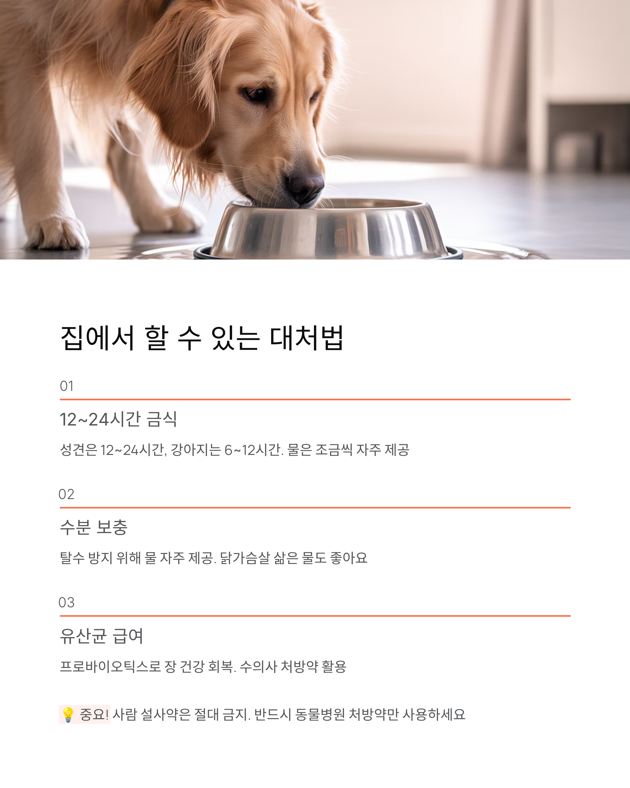 강아지 설사 🐕 원인·증상·대처법 총정리! 언제 병원 가야 할까?