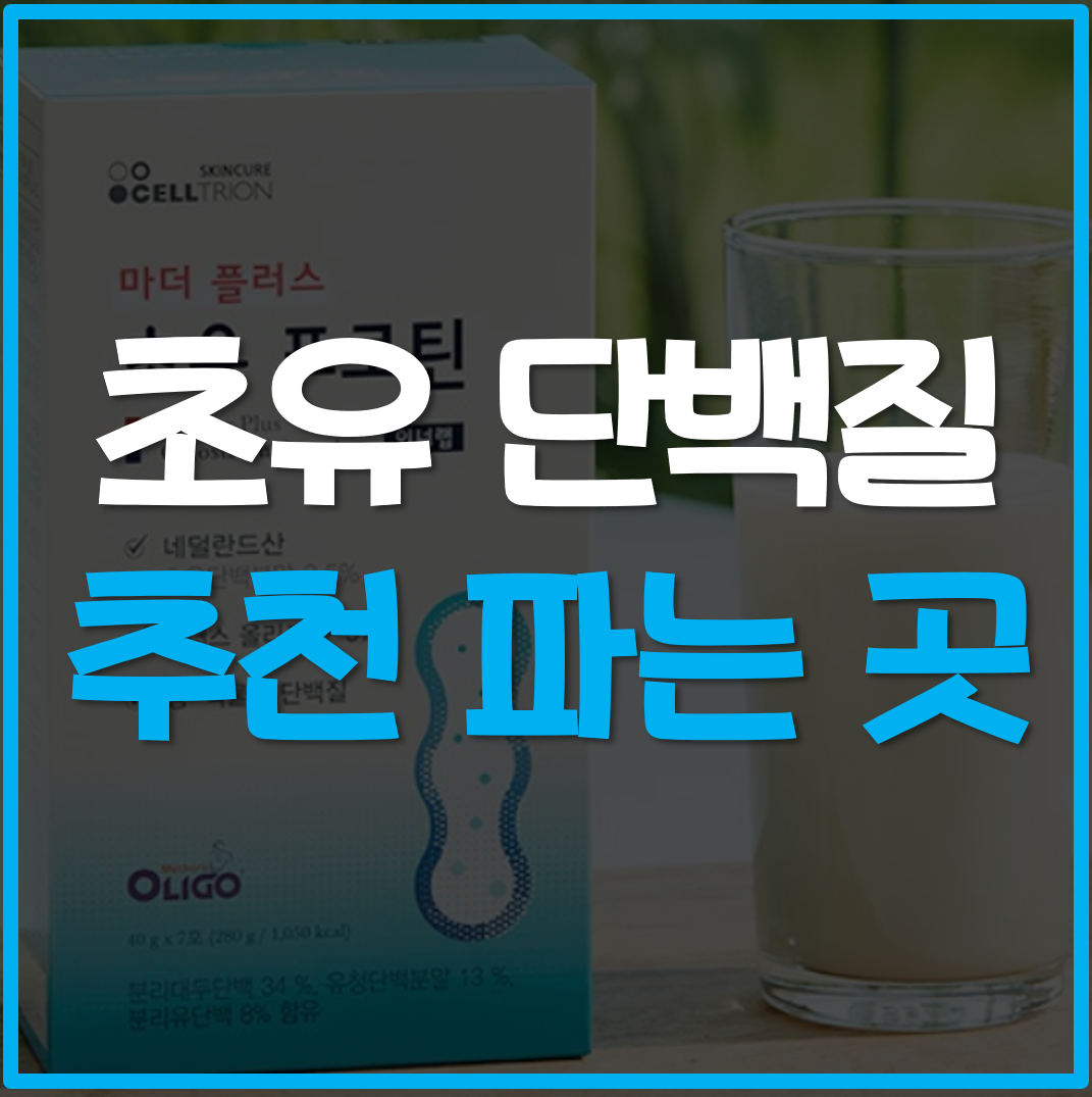 초유-단백질-추천