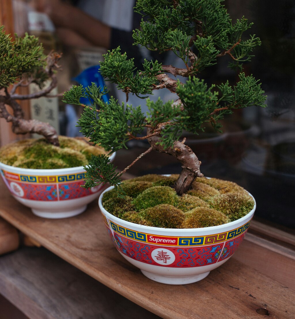 화담숲 예약방법! 실수 없이 완벽하게 예약하는 법