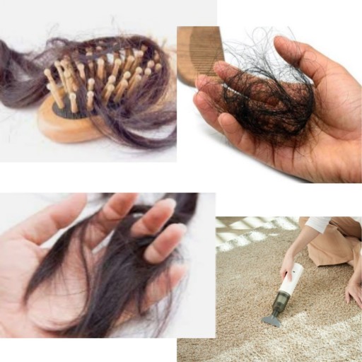 갱년기 여성탈모 원인