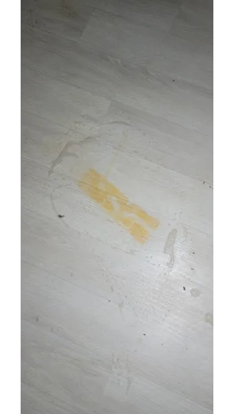 장판 이염 제거 매직블록과 알코올 적정 사용법_7