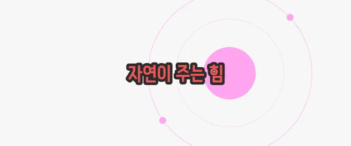 가시오가피 효능 이보다 자세히 설명할순없다