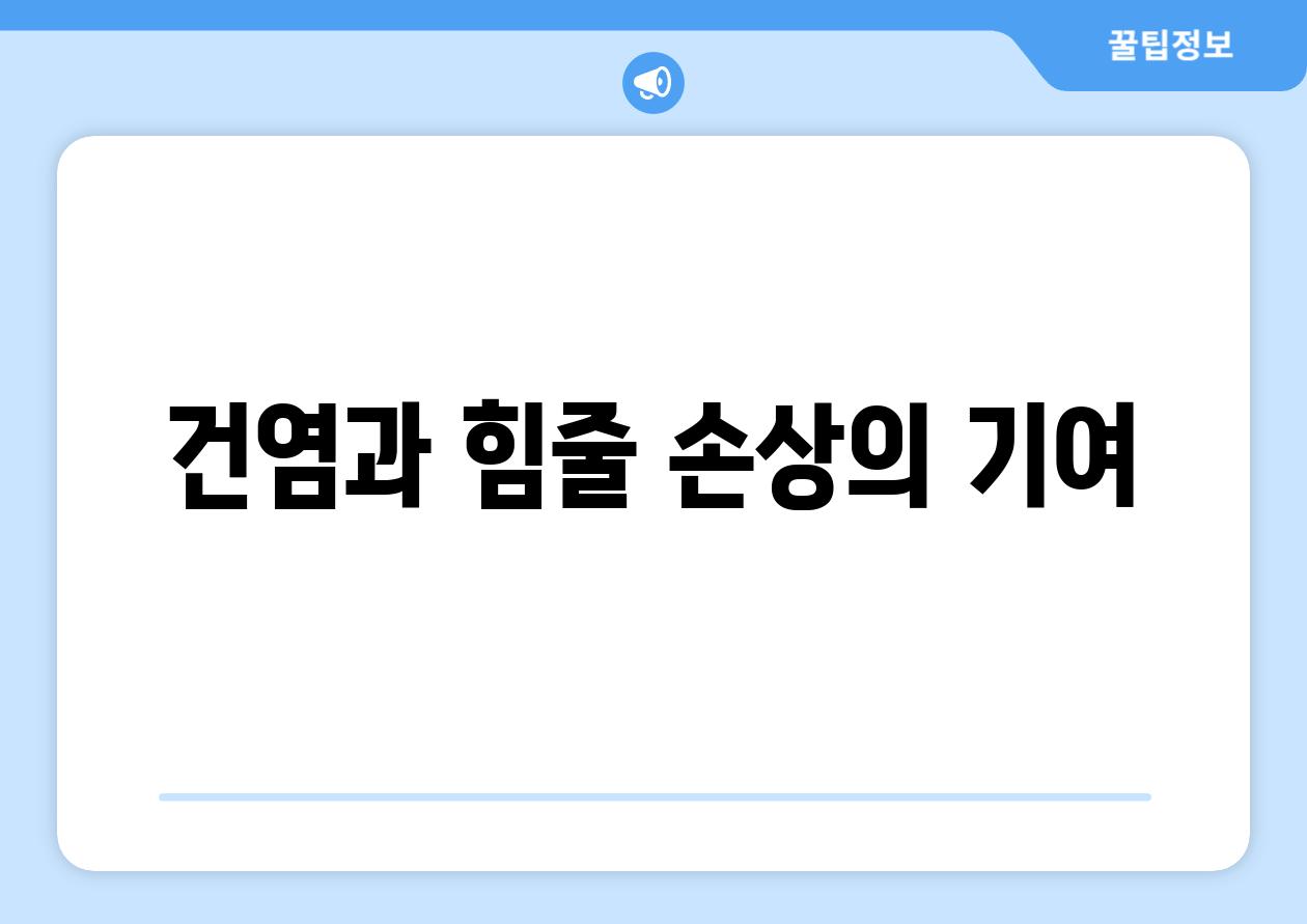 건염과 힘줄 손상의 기여