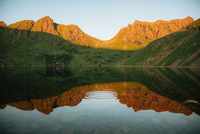 산림복지서비스이용권 조건확인하기