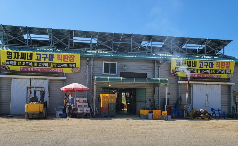 한국인의밥상-여주-고구마-줄기-땅콩-영자씨네농원