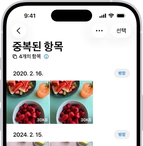 아이폰 중복 사진 삭제 병합 중복된 항목
