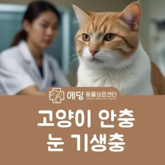 고양이 기생충 사진 약 증상_2