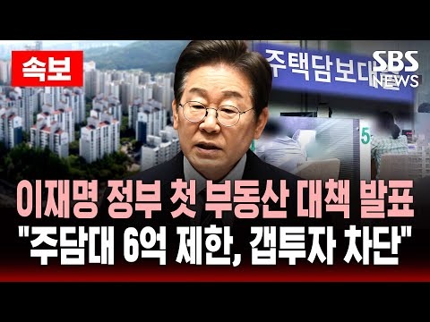 정부지원 - 보금자리론
