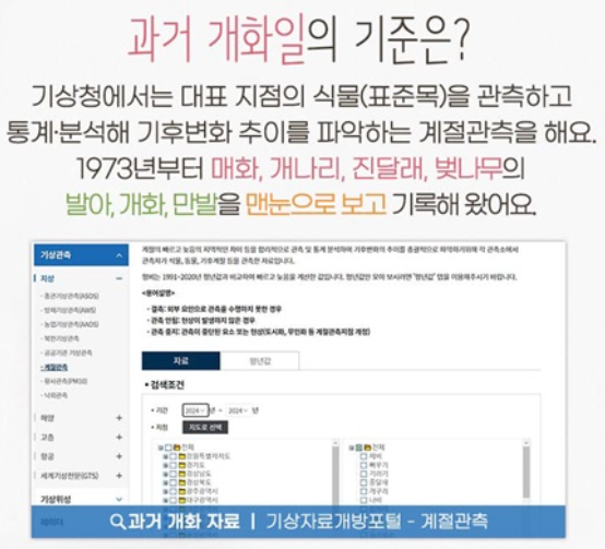 봄꽃 개화시기 