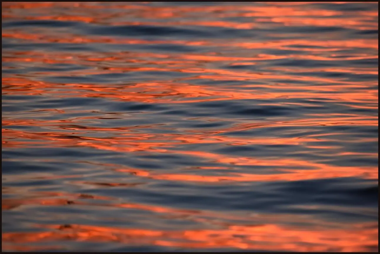 우체국 정기예금 금리