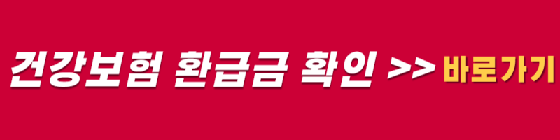 건강보험 환급금