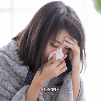 a형 독감 증상