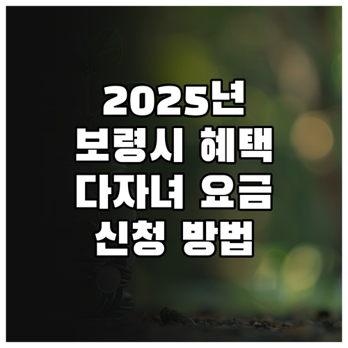 2025년 놓치면 손해 보령시 다자녀..