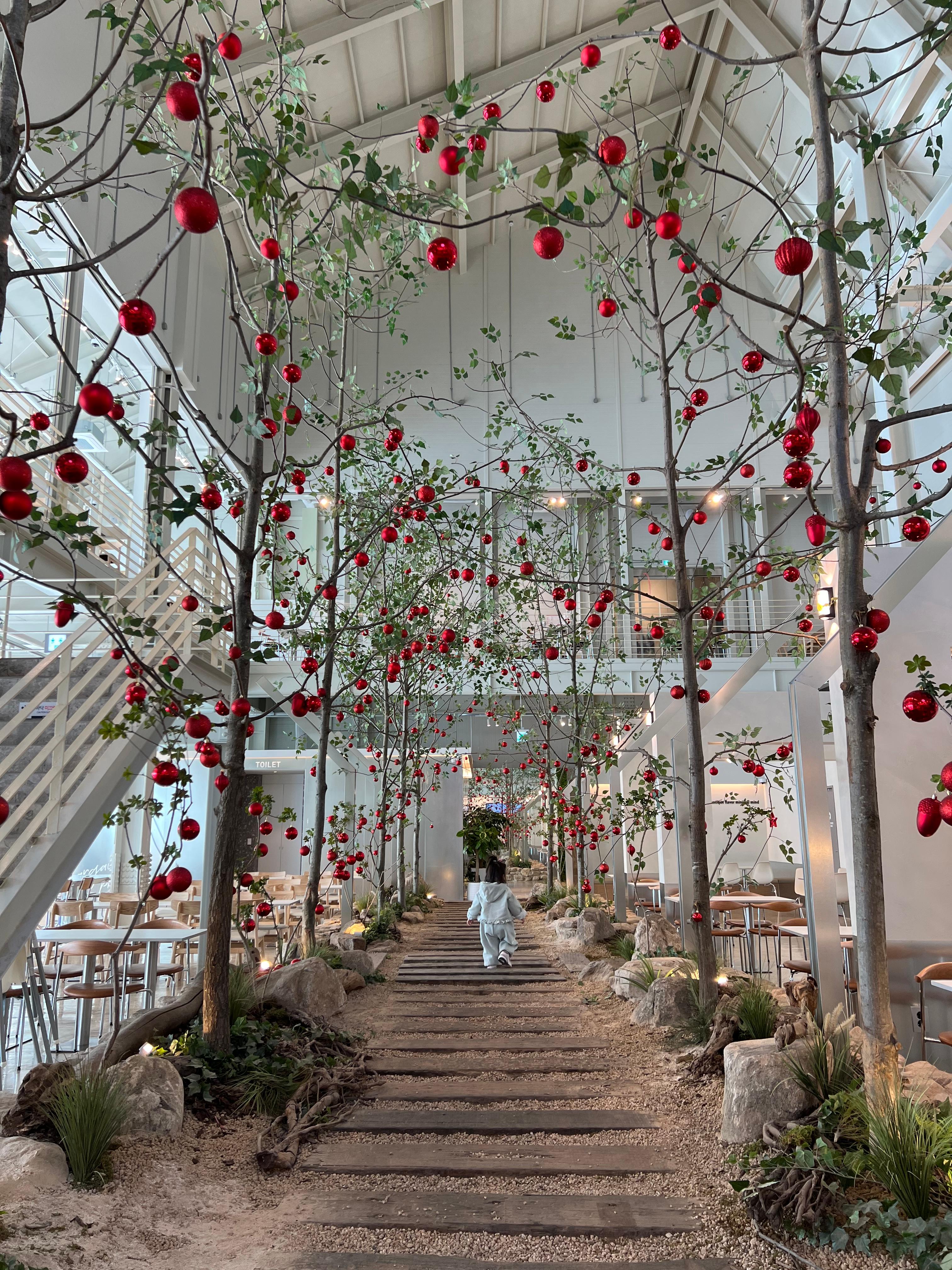 양산 마고플레인 . 감성카페 사진