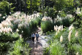  국내 가을 여행 - 해남 포레스트 수목원