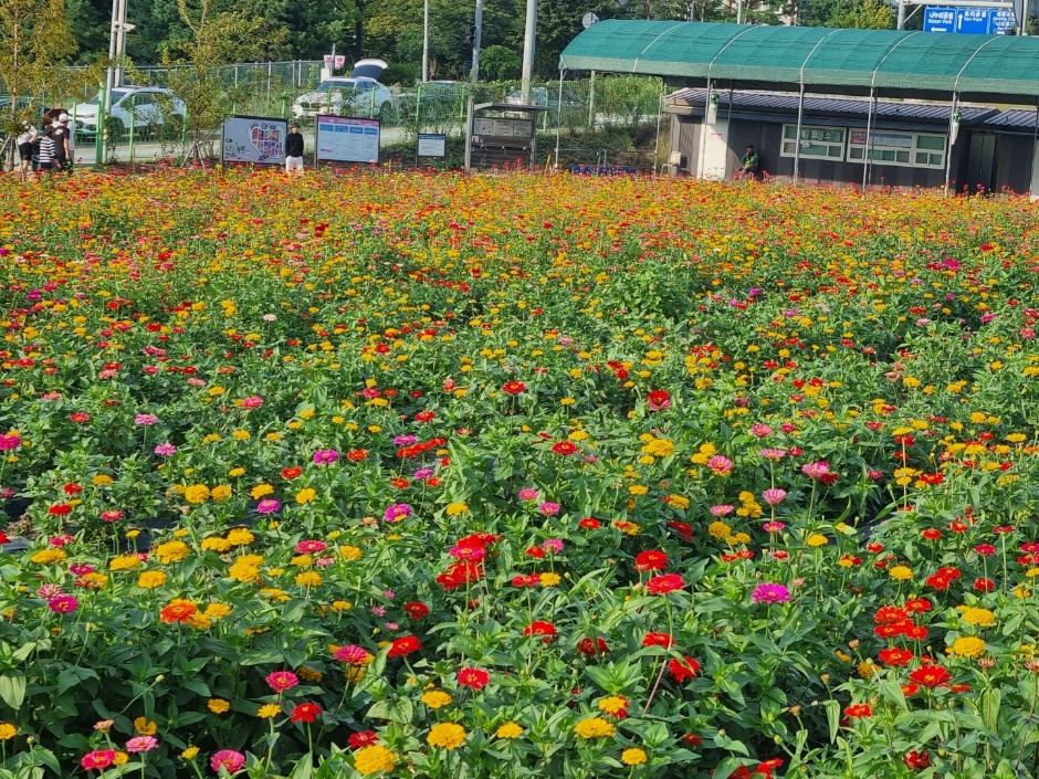 양주 가볼만한곳 베스트10