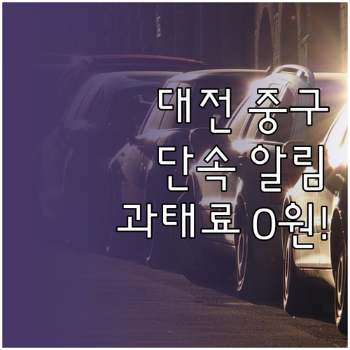 대전 중구 주정차 단속 알림 서비스 ..