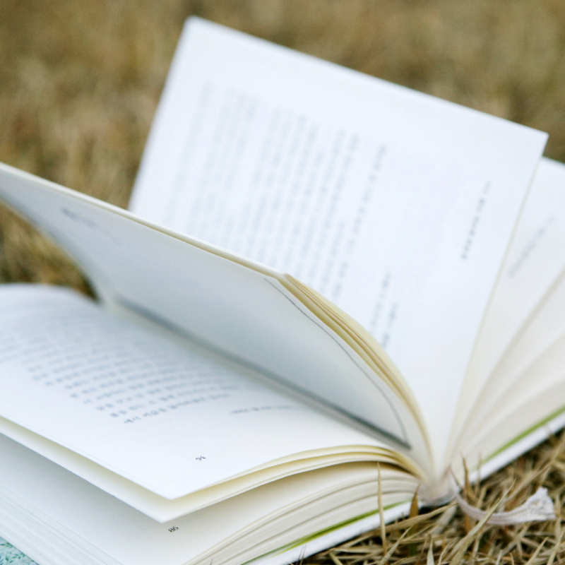 소년이 온다 줄거리: 노벨상 수상자 한강 작품 (아픈 역사를 품은 눈물의 서사 소설)