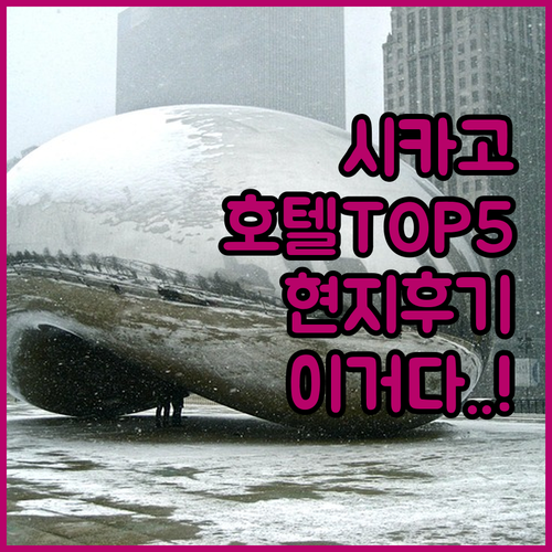 시카고 호텔 추천 베스트 5 위치별 ..