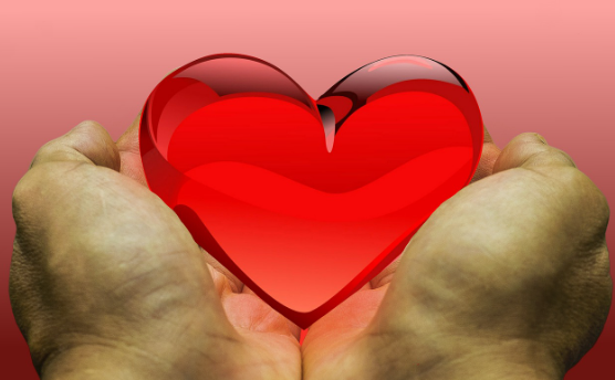 심장 비대증 원인과 치료