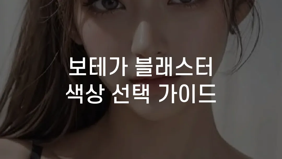 보테가 블래스터 색상 선택 가이드