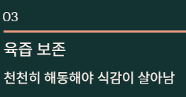 과메기 맛있게 먹는법