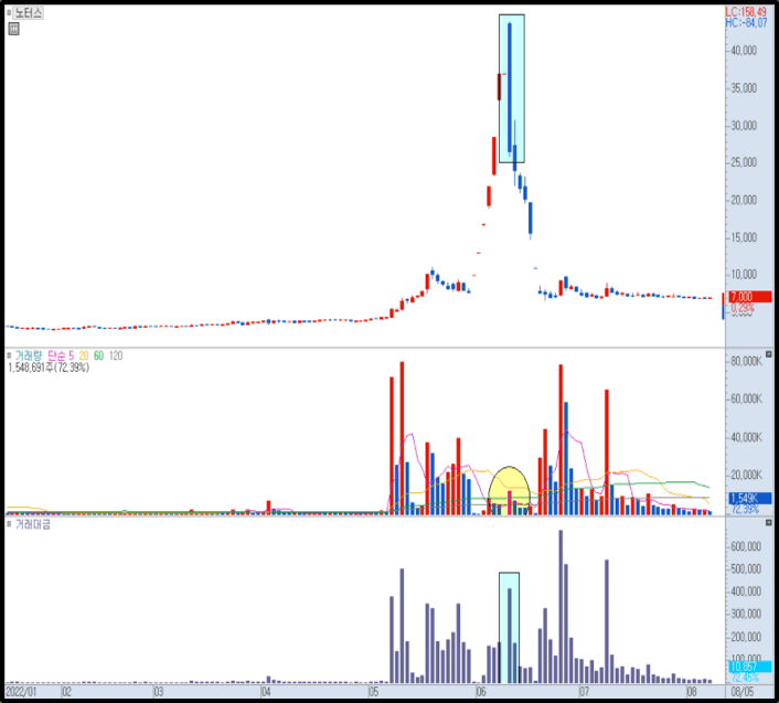 노터스 일봉 차트