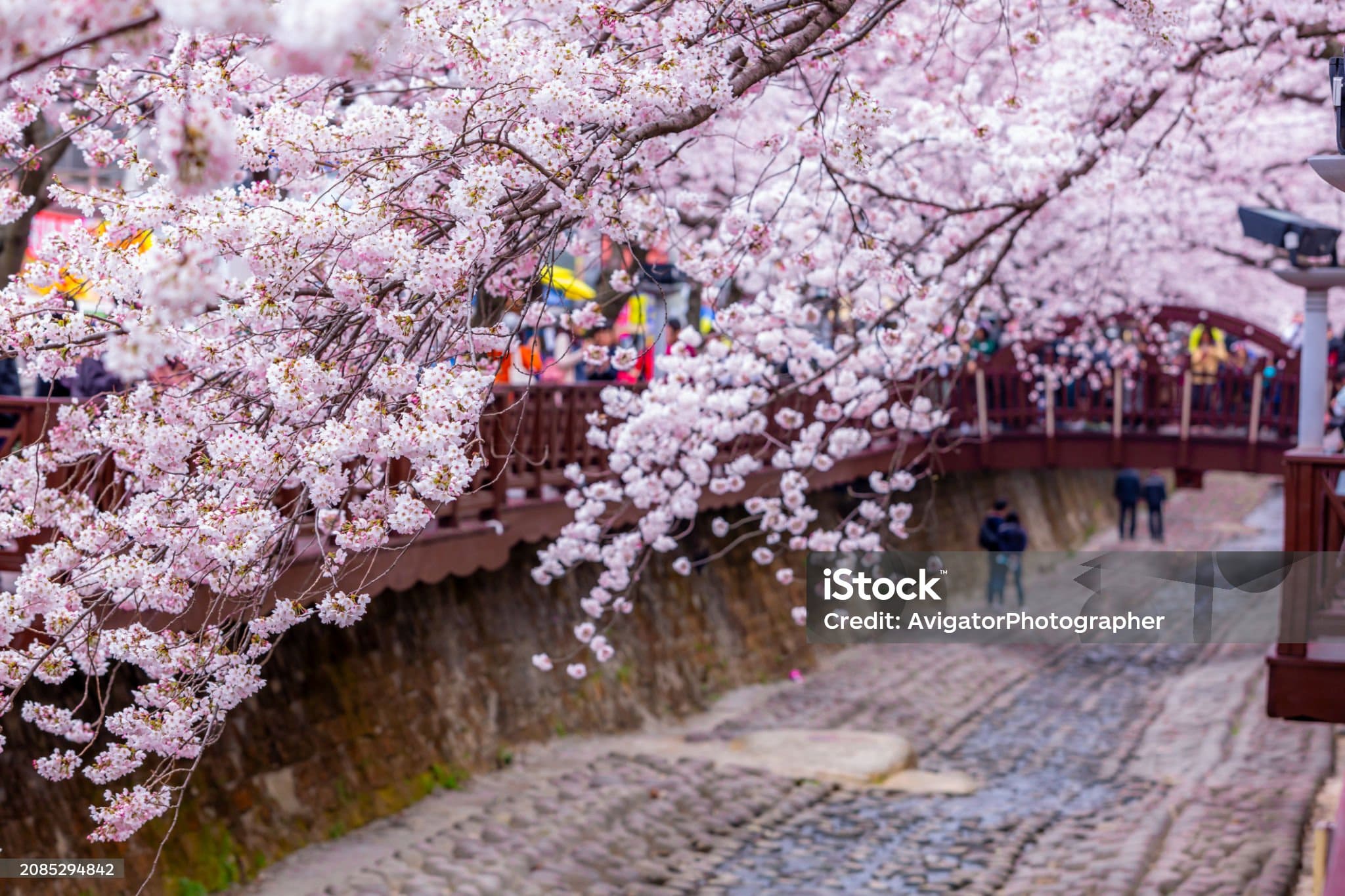 진해군항제 주차장 위치별 정리