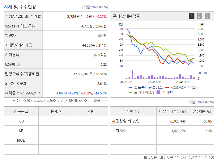 골프존뉴딘홀딩스_기업개요