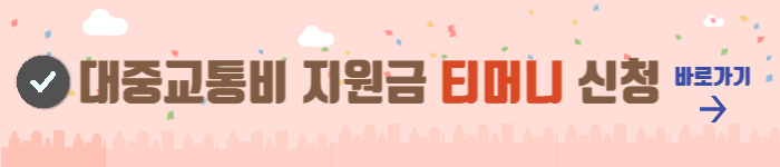 서울시-청년-대중교통비-지원-사업-티머니